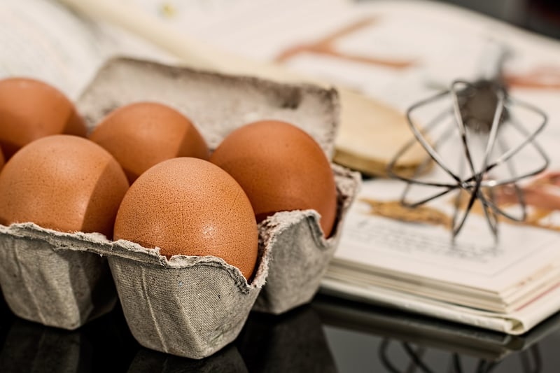 Egg Carton Seed Starter